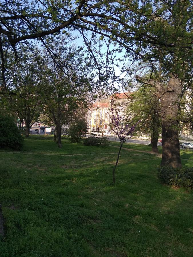 Hostel Ginger House Пловдив Экстерьер фото